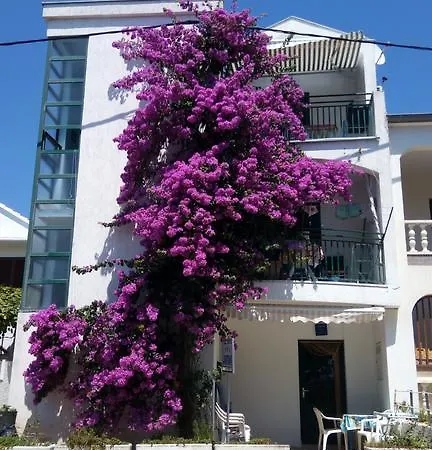 Дом отдыха Ratka Bolic