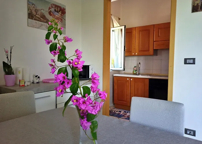 Ratka Bolic * Турань