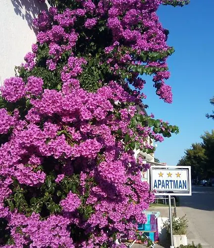 Ratka Bolic Дом отдыха Турань