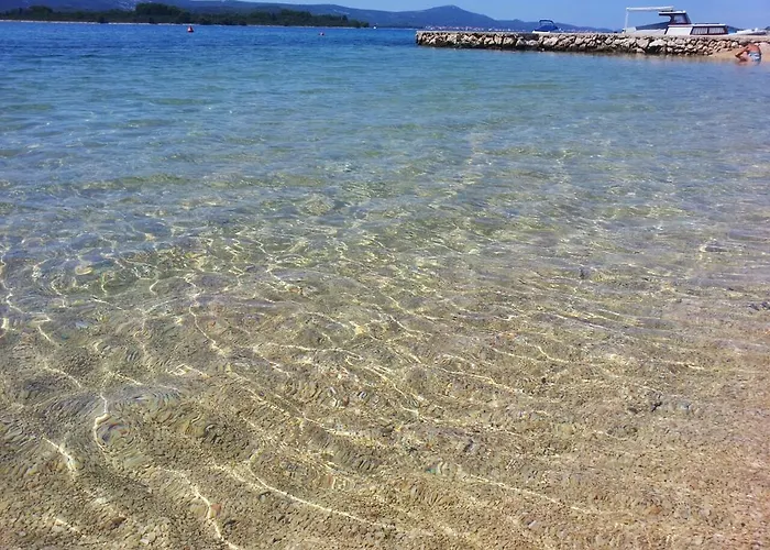 Ratka Bolic Турань