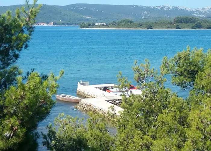 Ratka Bolic Турань